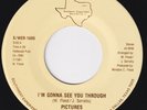 PICTURES w/ TOMMIE YOUNG I'm Gonna See You Through MODERN SOUL 45 boogie HEAR