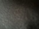 SnoDog WHITE, RED, SPOTIFY, ALT LPs Inc P&p