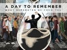 A Day To Remember – What Separates Me From You - LP Vinyl Record 12