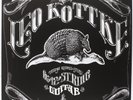 Leo Kottke 6 and 12 String Guitar (Vinyl)