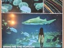 Bring Me The Horizon - Count Your Blessings NEW Vinyl / LP / Schallplatte