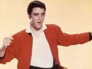 45 RPM  Elvis Presley W/Picture Sleeves (Mike's Special ) $100