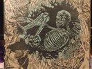Ceschi / Pat The Bunny* – Split 1st Pressing