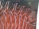 Electric Prunes Release Of An Oath