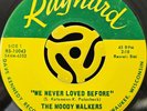 Garage 45 - The Moody Walkers - We Never Loved Before - Raynard Vg++ HEAR