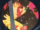 The CRAMPS PICTUREDISK Creature From The Black Leather Lagoon 12