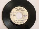 THE PRECIOUS FEW ( pre WILD FLOWERS) rock GARAGE MODDY 60's ARIZONA -