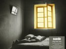 Suede Dog Man Star (30th Anniversary) (2 VINYL LP PICTURE DISC) NAD 2024 [NEW]