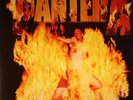 PANTERA - Reinventing The Steel - Vinyl (gatefold 180 gram vinyl LP)