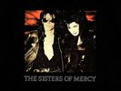 The Sisters Of Mercy - This Corrosion (12