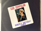Led Zeppelin - Bonzo's Birthday Party - 2LP