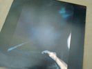SIOUXSIE AND THE BANSHEES - The Scream LP - POLD 5009 - 1st 1978 UK Issue