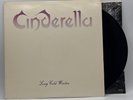 Cinderella - Long Cold Winter - 1988 US 1st Press Album (EX) Ultrasonic Clean