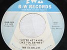 THE ES-SHADES 1966 GARAGE 45 Never Meet A Girl Like You Before B-W Records Ohio