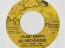 BIG BUCKS BAND Its Not Enough 45 RECORD RARE PRIVATE ND PUNK ROCK 1979