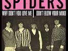 Spiders ‎– Why Don't You Love Me   7