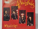 4 Non Blondes - What's Up - 7 inch Music Vinyl Record