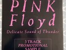 PINK FLOYD - Delicate Sound of Thunder **3 TRACK 12
