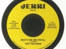 TROUTMAN, Tony - What's The Use? (Record Store Day RSD 2023) - Vinyl (7