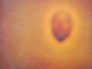 INVISIBLE DURAZNO SANGRANDO NEW LP