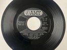 Rays 1965 NORTHERN SOUL 45 Love Another Girl/Sad Saturday AMY DJ VG++/VG+++ HEAR