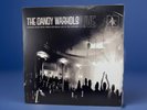 THE DANDY WARHOLS ‎Thirteen Tales From Urban Bohemia LIVE GRAY vinyl 2lp (E-14)