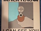 BLACK FLAG I Can See You 12