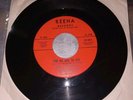 Garage Psych 45  We The People For No One To See REENA VG+ 1967  1st Pressing