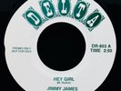 Jimmy James and The Vagabonds: Hey Girl Rare Soul Promo 45 DELTA #DR-803 N Mint