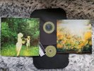 THE WORLD IS A BEAUTIFUL PLACE & I AM NO LONGER AFRAID TO DIE Harmlessness LP