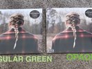 TAYLOR SWIFT RARE EVERMORE OPAQUE GREEN AND REGULAR GREEN VINYLS  YOU GET BOTH
