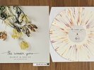 The Wonder Years - Burst & Decay SPLATTER vinyl LP record Rare OOP