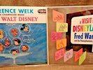Vinyl records for the Disney lover The music of Walt Disney+. NEAR MINT *LISTEN*