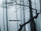 Trentemøller The Last Resort (Vinyl) 12