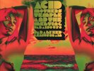 Acid Mothers Temple Paralyzed Brain double LP vinyl Europe Rolling Heads 2024