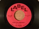 The Members Come On Everybody/I'll Get By Without You Garage 1966 Label Records