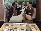 The Beach Boys - “Pet Sounds' 1966  Scranton press Duophonic Stereo Lp /DT 2458