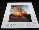 Phantogram: THREE Album White Sarah Barthel & Josh Carter Auto Signed  Mint
