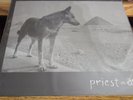 The Church – Priest = Aura  	Music On Vinyl – MOVLP2689  2021  NEW