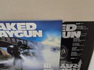 NAKED RAYGUN 33 RPM LP ALL RISE ROCK PUNK HARDCORE HOMESTEAD 1986
