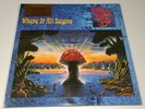 The Allman Brothers Band – Where It All Begins Blue Vinyl 2LP New