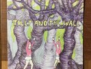Tilly And The Wall “Wild Like Children” Lp.  VG+\VG+.  2005