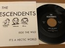 DESCENDENTS-Ride The Wild Record 7