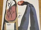SIGNED The Story So Far - I Want To Disappear Exclusive Color LP Autographed