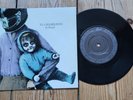 The Chameleons In Shreds Promo  7