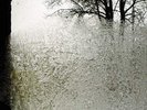 Bon Iver - For Emma, Forever Ago - Vinyl LP [New & Sealed]