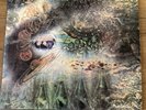 Saucerful of Secrets by Pink Floyd (Vinyl, 1969) SCX 6258/VAX 3634