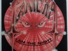 Pantera –  I Am The Night  LP   1 press rare