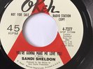 Sandi Sheldon - You’re Gonna Make Me Love You / Seven Souls - I Still Love You