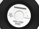BFTG GARAGE FUZZ 45 - ROCKY AND RIDDLERS - FLASH AND CRASH -HEAR -1967 PANORAMA